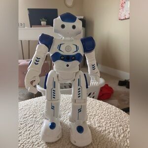 RC Interactive Robot